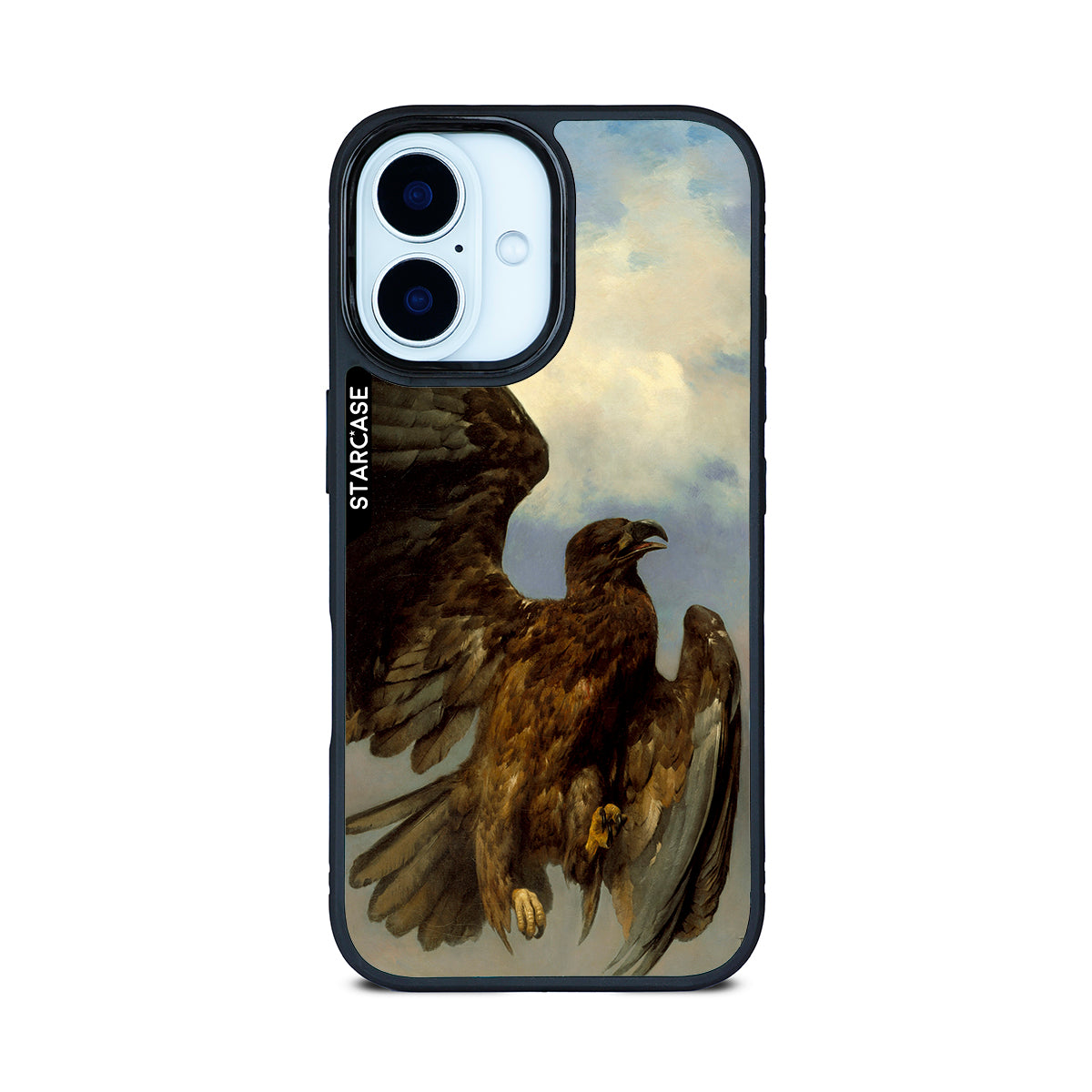 The Wounded Eagle