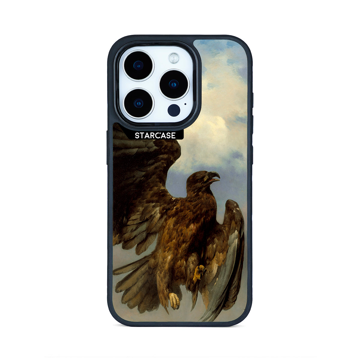 The Wounded Eagle