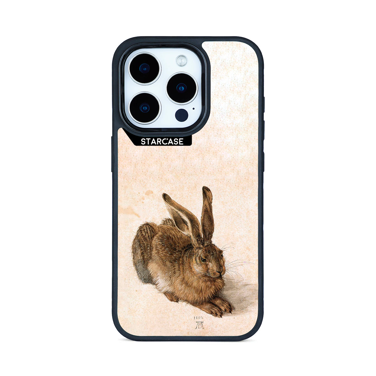 Young Hare