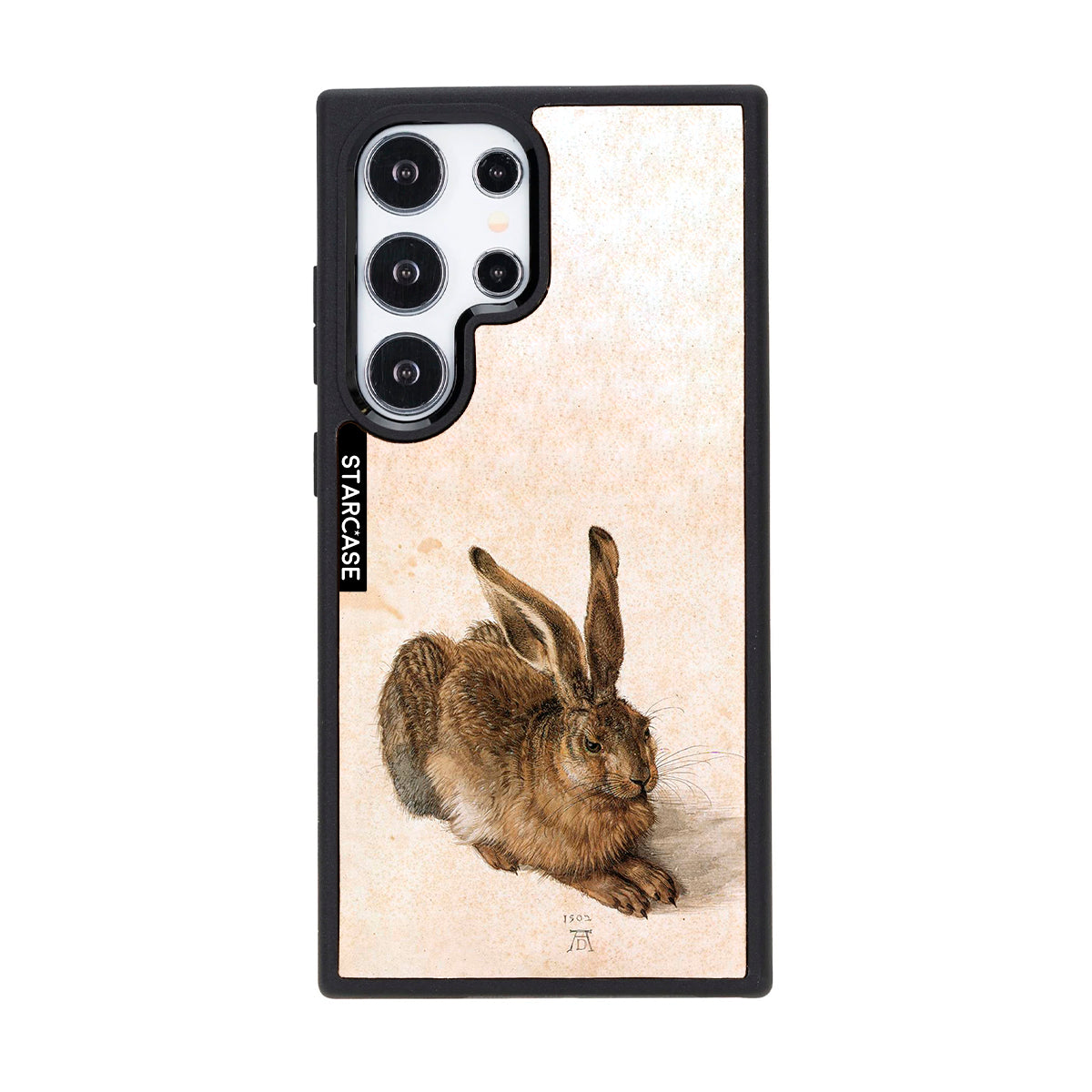 Young Hare