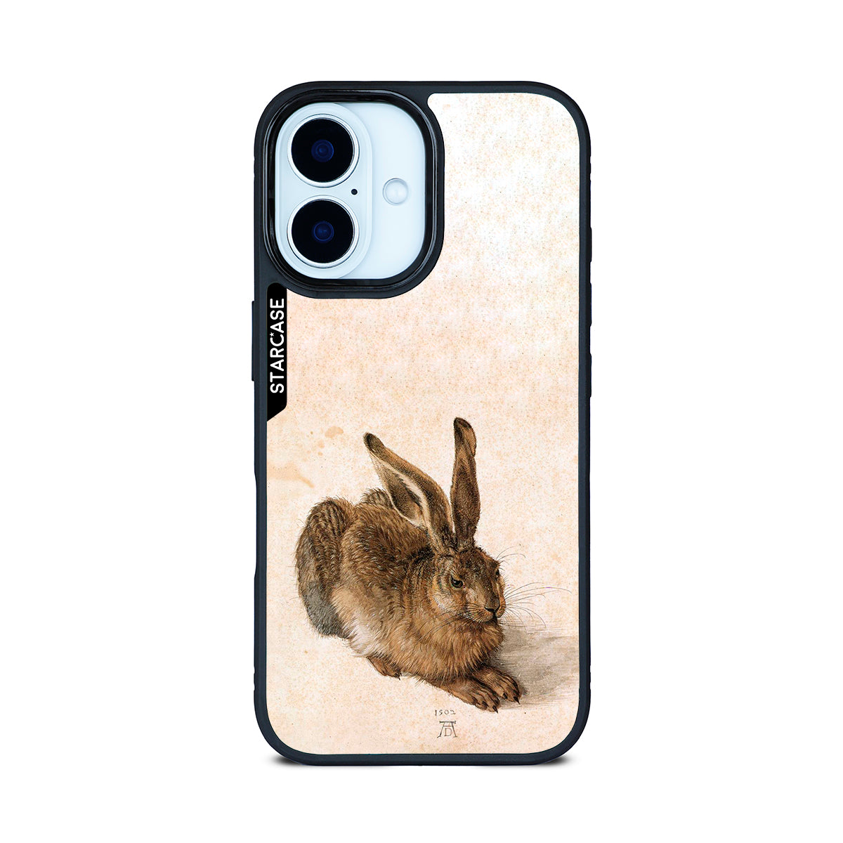 Young Hare